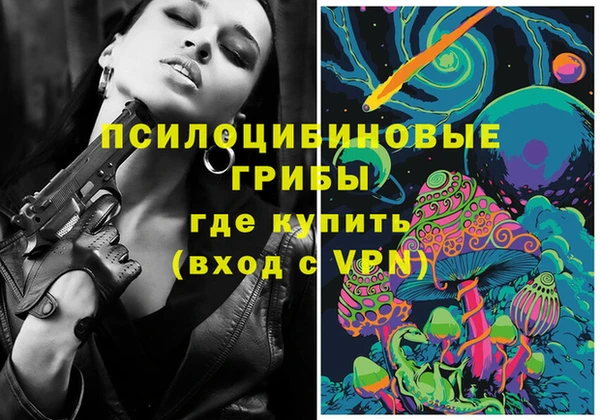 PSILOCYBIN Белоозёрский