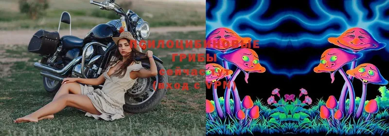 Галлюциногенные грибы MAGIC MUSHROOMS  ОМГ ОМГ сайт  Ноябрьск 